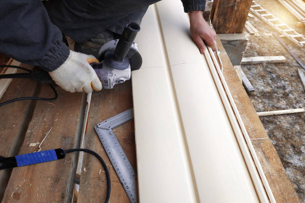 Best Siding Removal and Disposal  in Rock Port, MO