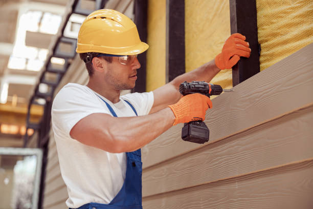 Best Fascia and Soffit Installation  in Rock Port, MO