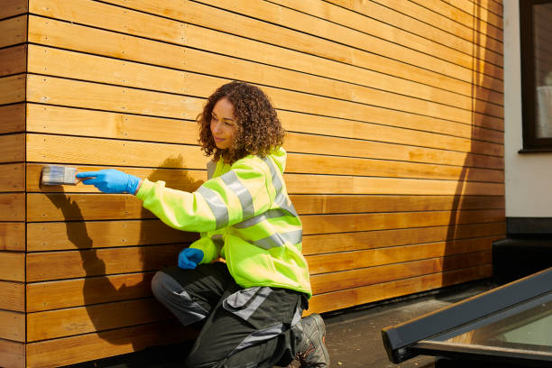 Best Siding Painting and Refinishing  in Rock Port, MO